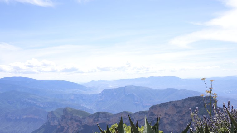Mountains in Mexico community surrounded by vegetation