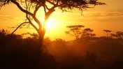 image scenery Uganda