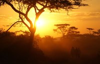 image scenery Uganda