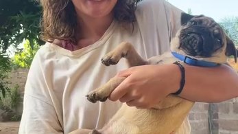 Megan takes us through a day in her life as an Education Volunteer in Togo accompanied by her sidekick Gumbo