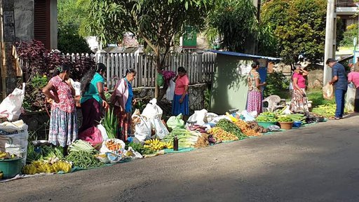 various vegetables sold at a village fair along the road