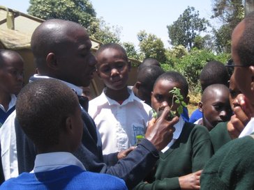 Students studying agriculture