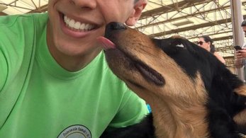 Thomas B_animal shelter