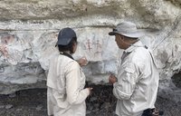 Pinturas rupestres