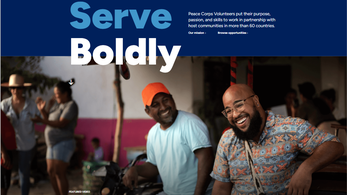 Website Screengrab