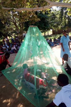 mosquito nets in malawi
