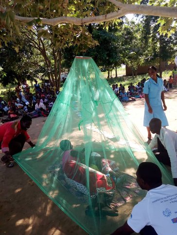 mosquito nets in malawi