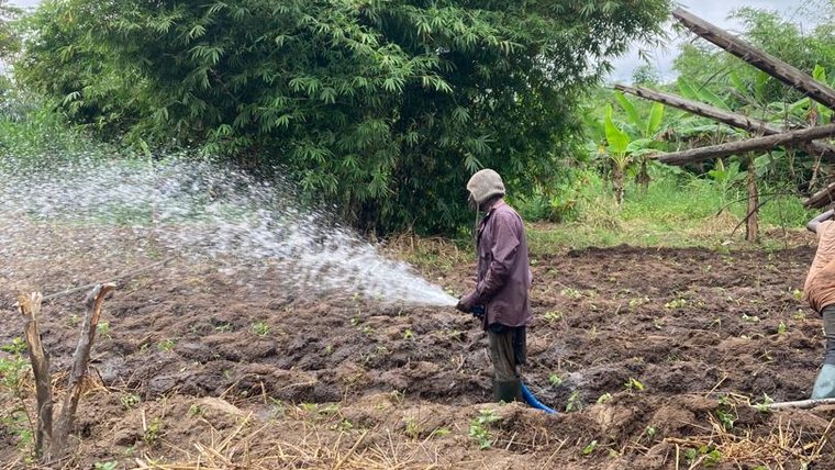 A local farmer irrigating a field in Ghana.