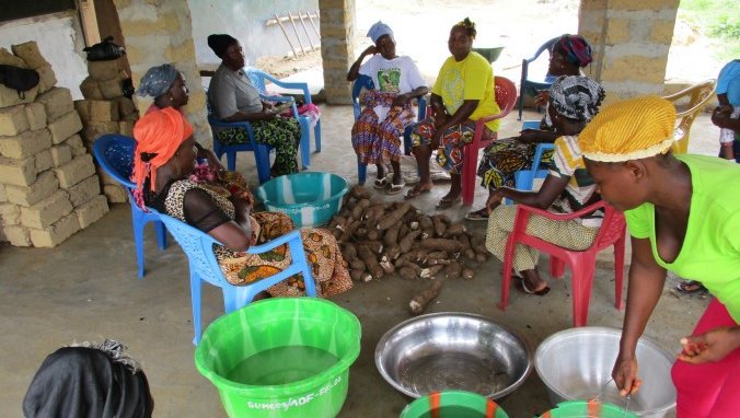 Women Cassava.jpg