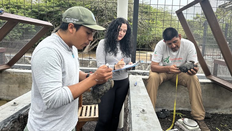 Lauren works with local community on turtle research