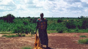 Hardpacked soil in Niger