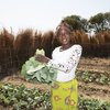 Woman harvesting greens in Zambia