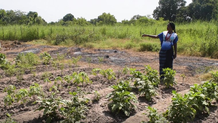 Woman points to crops