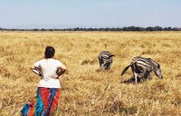 Looking on at some zebra at the wildlife reserve where I was posted for my Peace Corps service.