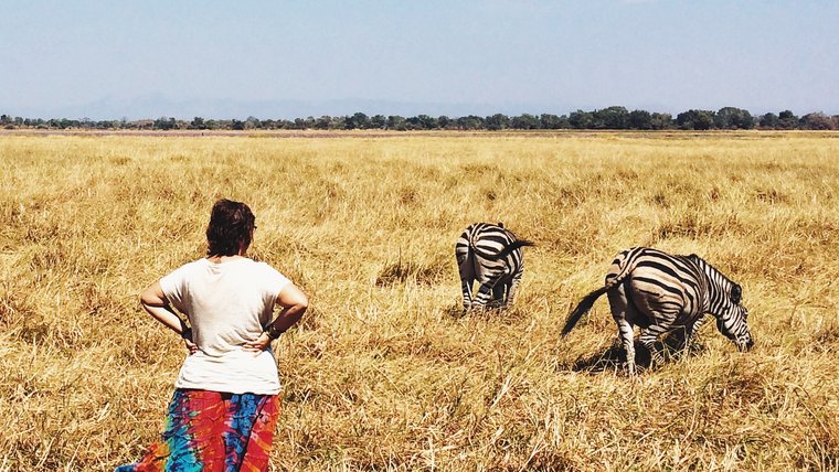 Looking on at some zebra at the wildlife reserve where I was posted for my Peace Corps service.