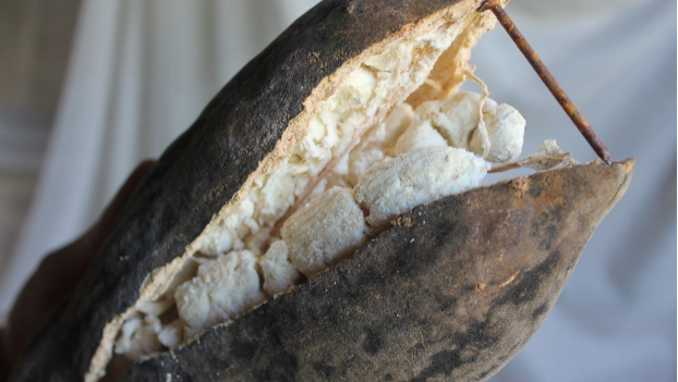 baobabfruit