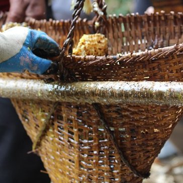 basket with honey2