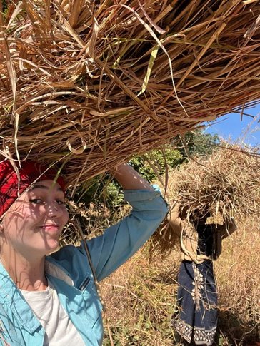 Marin learns how to harvest and carry bales of grass on her head with her host mother.