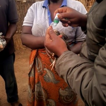 chickens were provided to PLHIV in Tanzania.