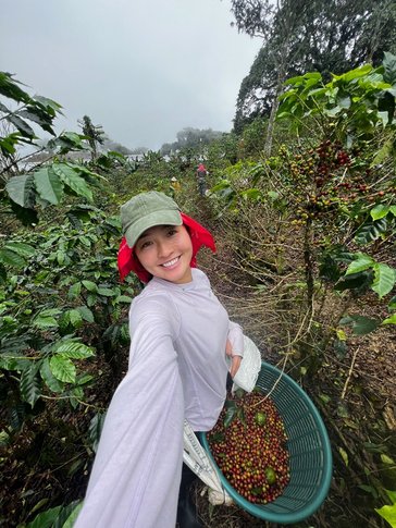 Megumi harvests coffee in Costa Rica.