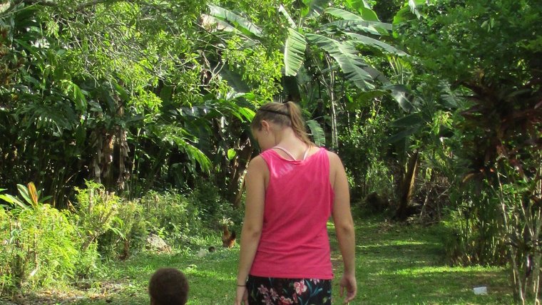 commute vanuatu