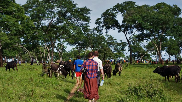 My life hasn't quite been the same ever since arriving in Zambia two and a half years ago.