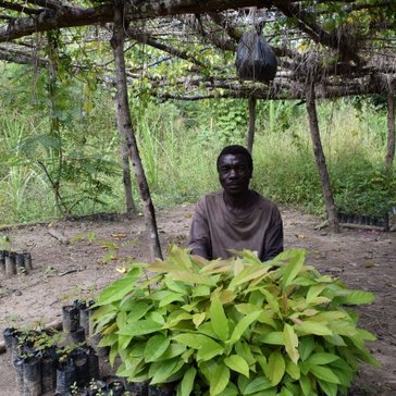 Ada sits under some vines at his house.