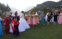 Nuse, Darsme, dhe Dhëndër (Bride, Weddings and Groom)