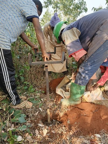 Cameroonian farmers install beehive stands.