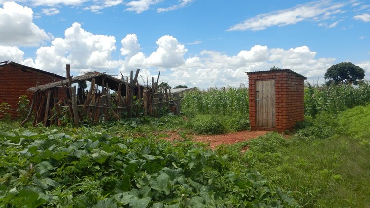 A typical pit latrine
