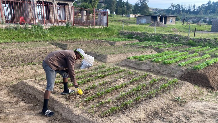 Dylann supports adolescents living with HIV by helping them grow vegetables in home gardens.