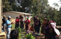 Planting seeds of change - Guatemala Feed the Future