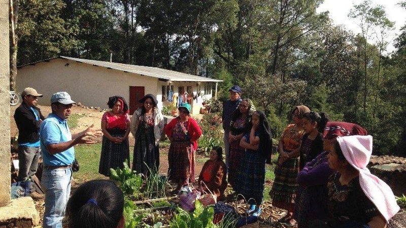 Planting seeds of change - Guatemala Feed the Future