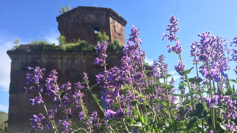 flowers in Armenia