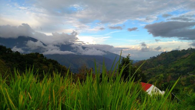 The Eastern View, Blue Mountains