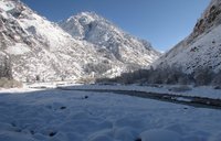 img_2460.jpg