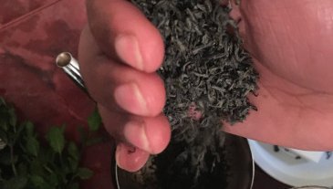 Add the gunpowder tea leaves