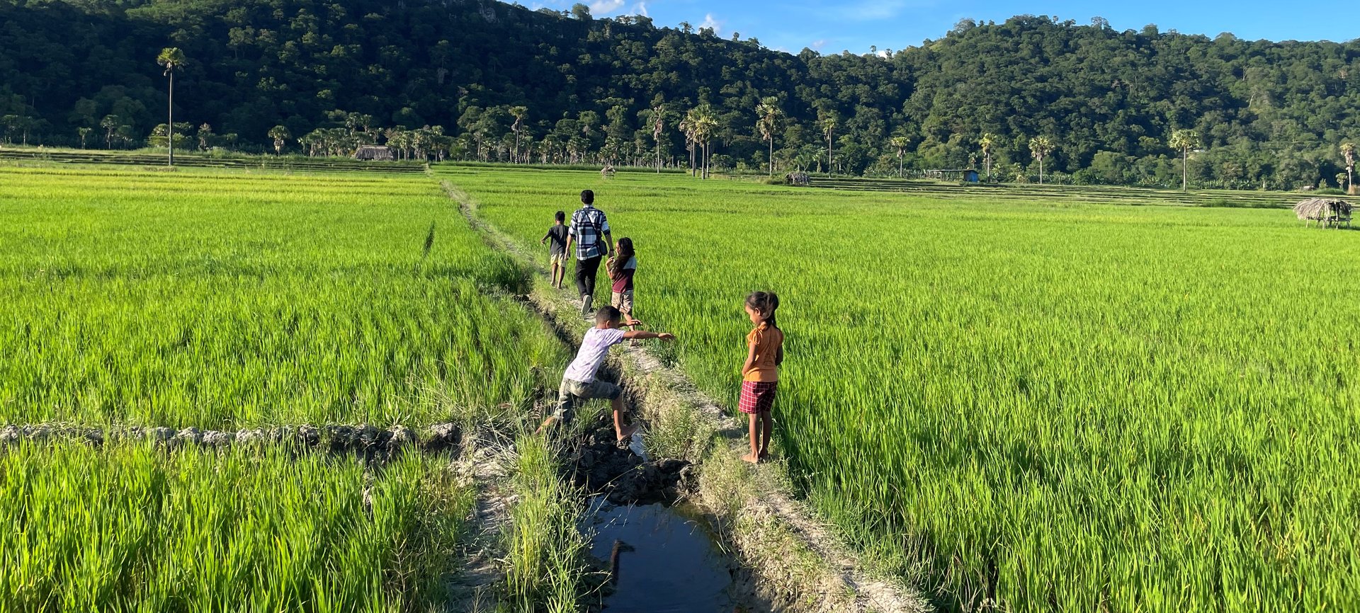 Children walking in a field