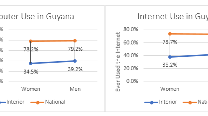 Sample of women and men aged 15 - 24 in Guyana, who have ever used a computer (a) and/or have ever used the internet (b). The