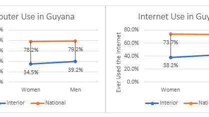 Bringing the internet and economic opportunity to a small village in Guyana