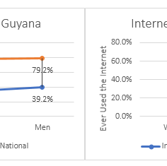 Sample of women and men aged 15 - 24 in Guyana, who have ever used a computer (a) and/or have ever used the internet (b). The