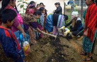 Feed the Future & the Peace Corps: Taking food security efforts to the grassroots level