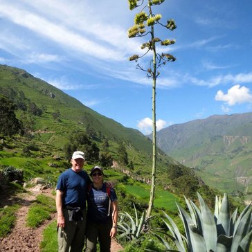 Jeannie Folan Peru