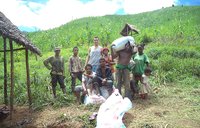Improving rice farming in Madagascar