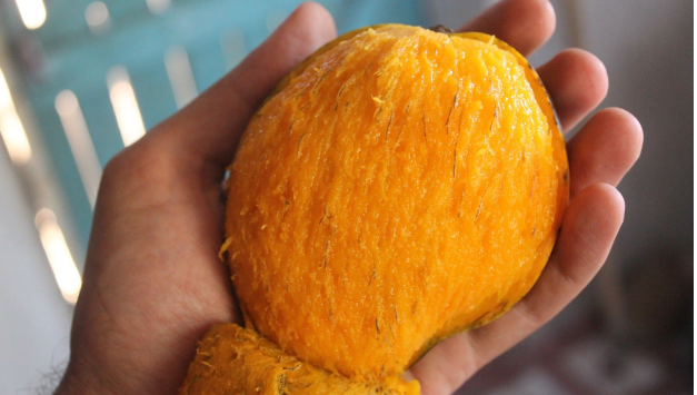 mangokaroty