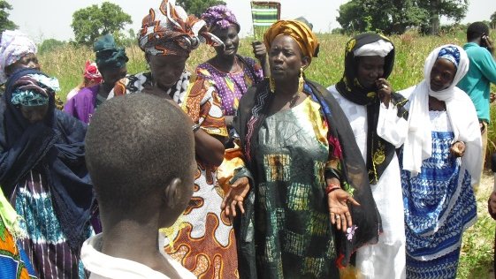 Meet Fatou, Peace Corps Senegal Master Farmer