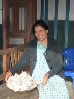 Mushroom in Nepal