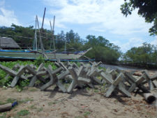 The jack stones used in the artificial reef.