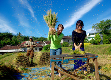 Peace Corps/Indonesia Volunteer Paige Gable wins first place in the photo contest category for providing technical assistance.
