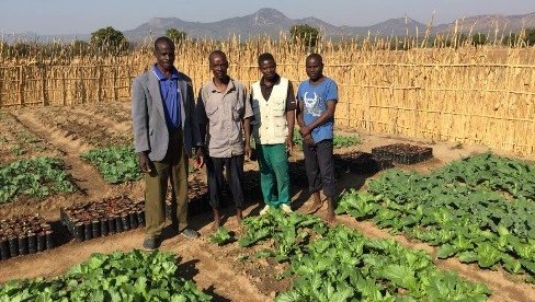 Malawian farmers stand proudly in front of their food garden crops